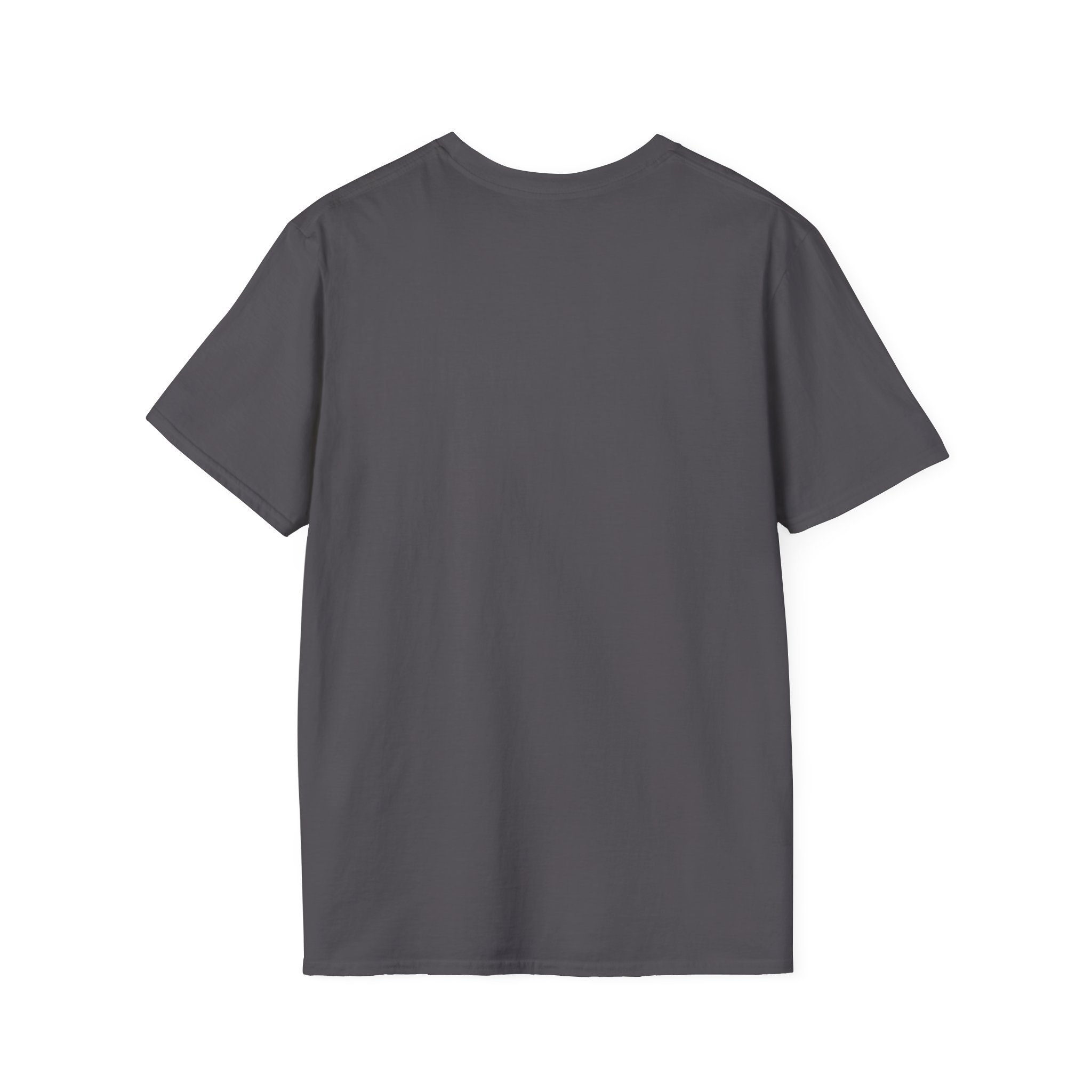 Ask Me How War Is the Health of the State skull tee in Charcoal, plain back.
