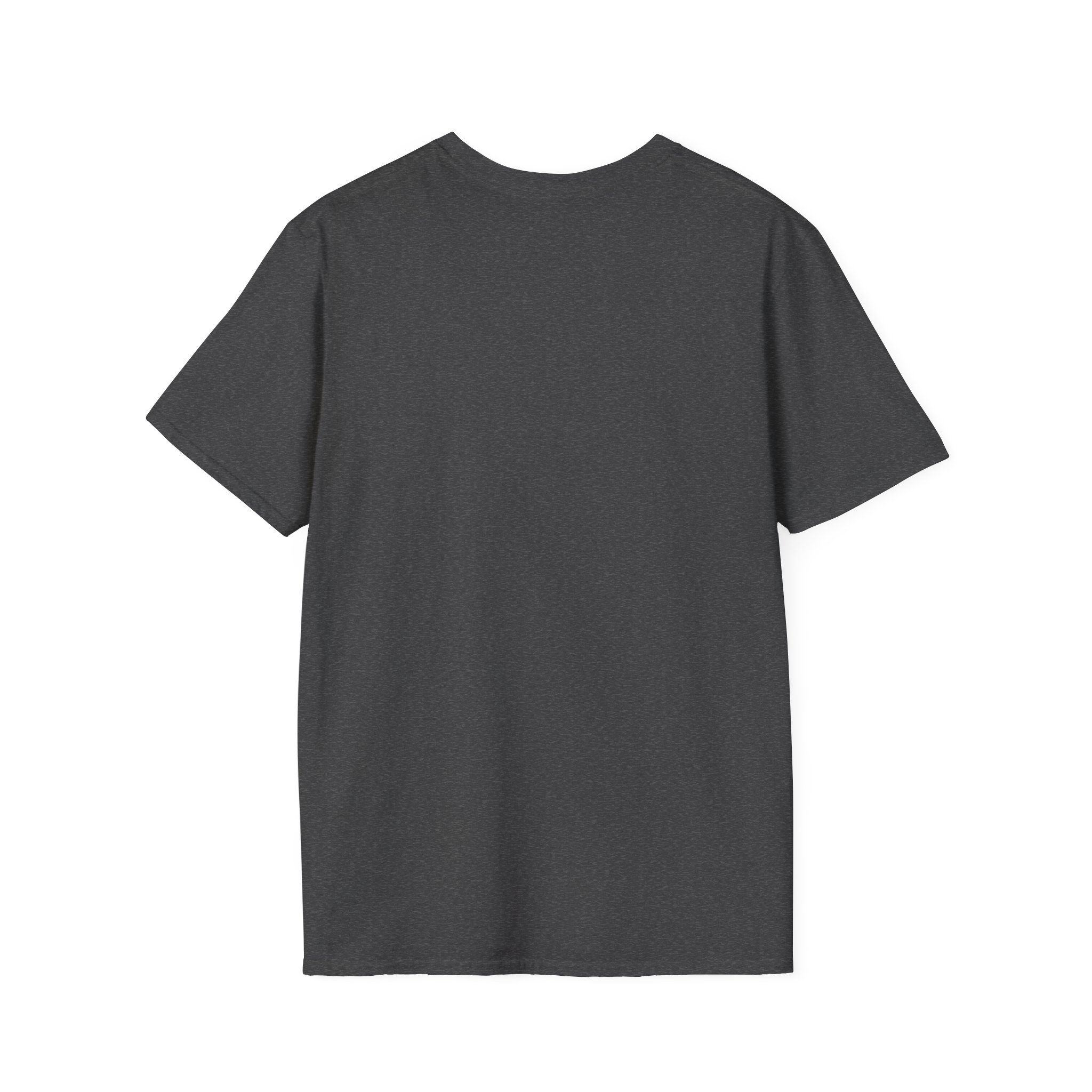 Ask Me How War Is the Health of the State skull tee in Dark Heather, plain back.