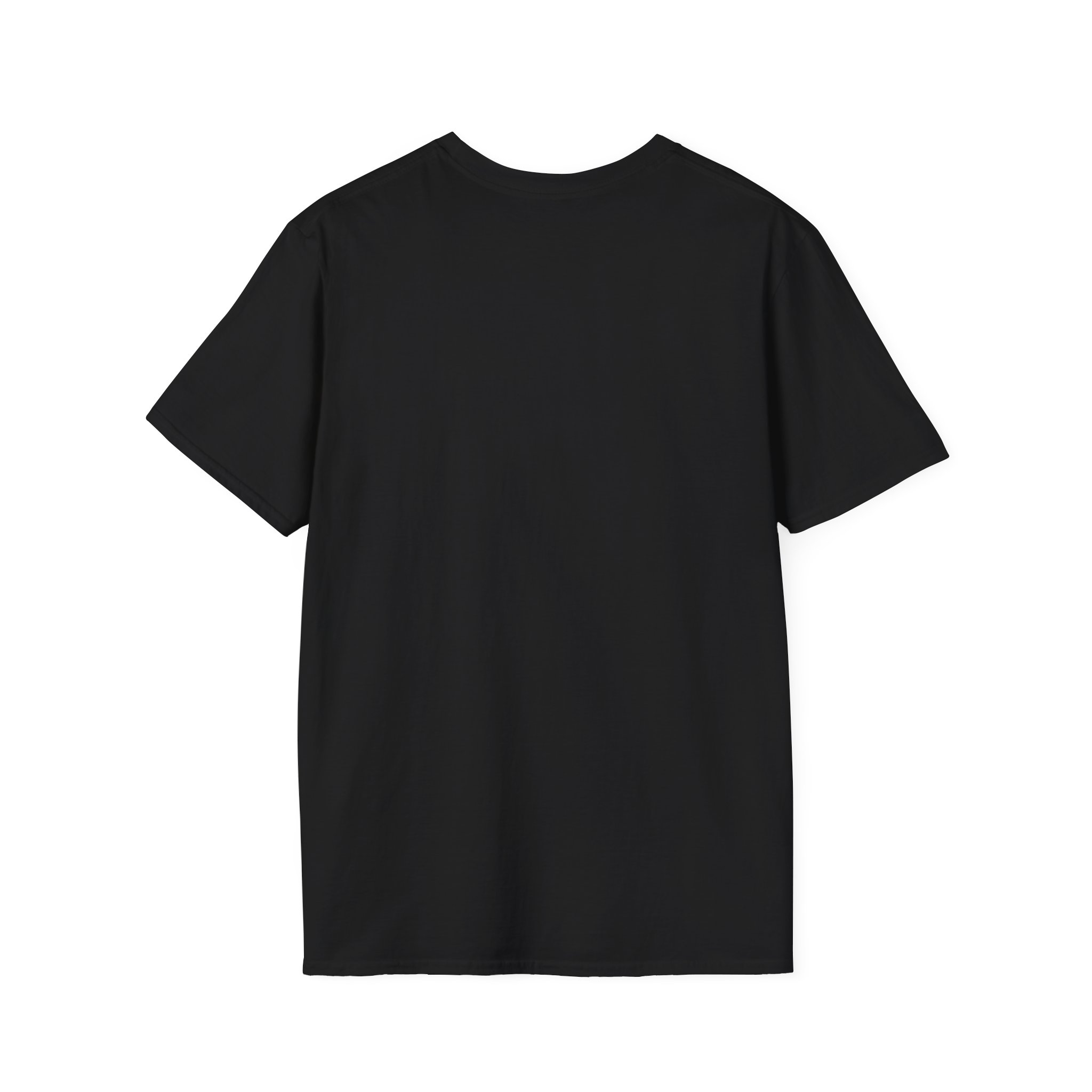 Ask Me How War Is the Health of the State skull tee in Black, plain back.